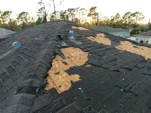 Best Gutter Installation and Repair  in Alamo, TX